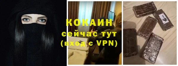 СК Пересвет