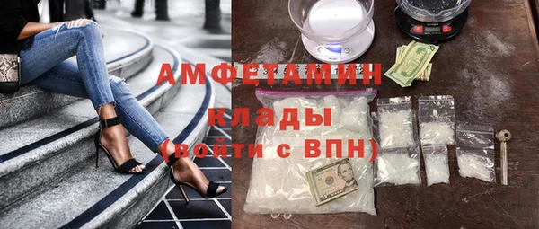 СК Пересвет