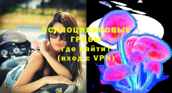 сатива Абаза