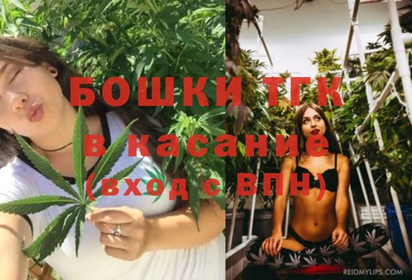 крисы Пестово